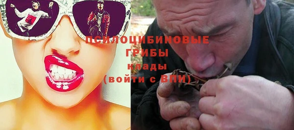 ALPHA PVP Богородицк