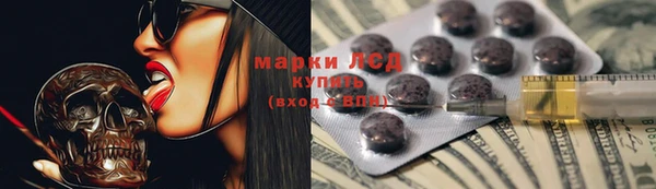 мдпв Богородск