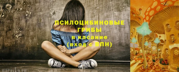 мдпв Богородск