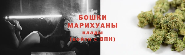 ALPHA PVP Богородицк