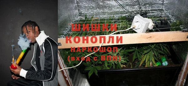ALPHA PVP Богородицк