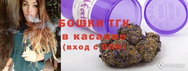 мдпв Богородск