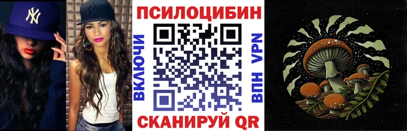 Псилоцибиновые грибы прущие грибы  Тула 